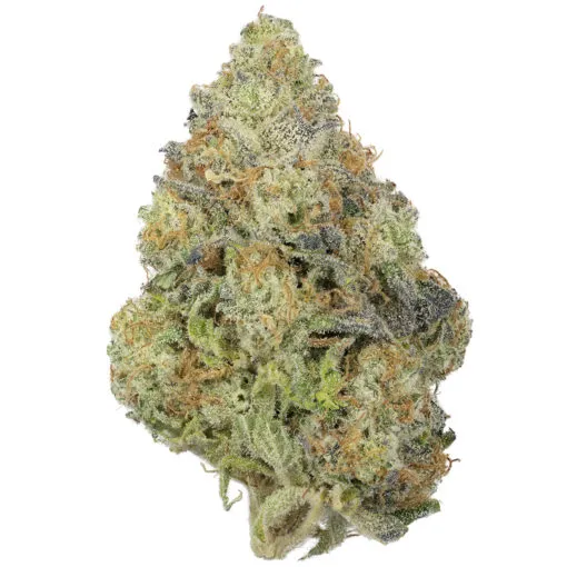 Cherry-Fritter-Single-510x510-1