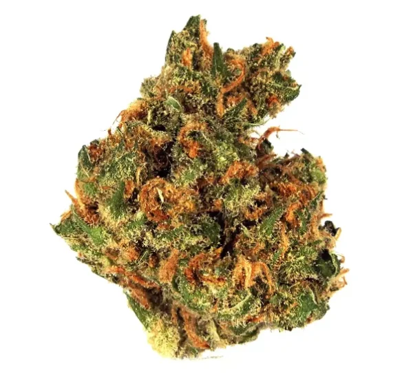 Island-Sweet-Skunk-600x542